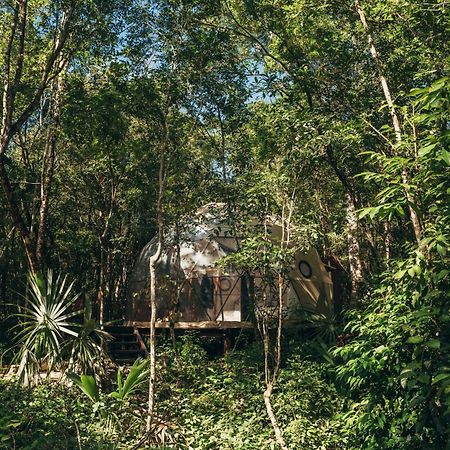 فندق Amaite Retreat Tulum Macario Gomez المظهر الخارجي الصورة