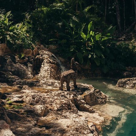 فندق Amaite Retreat Tulum Macario Gomez المظهر الخارجي الصورة