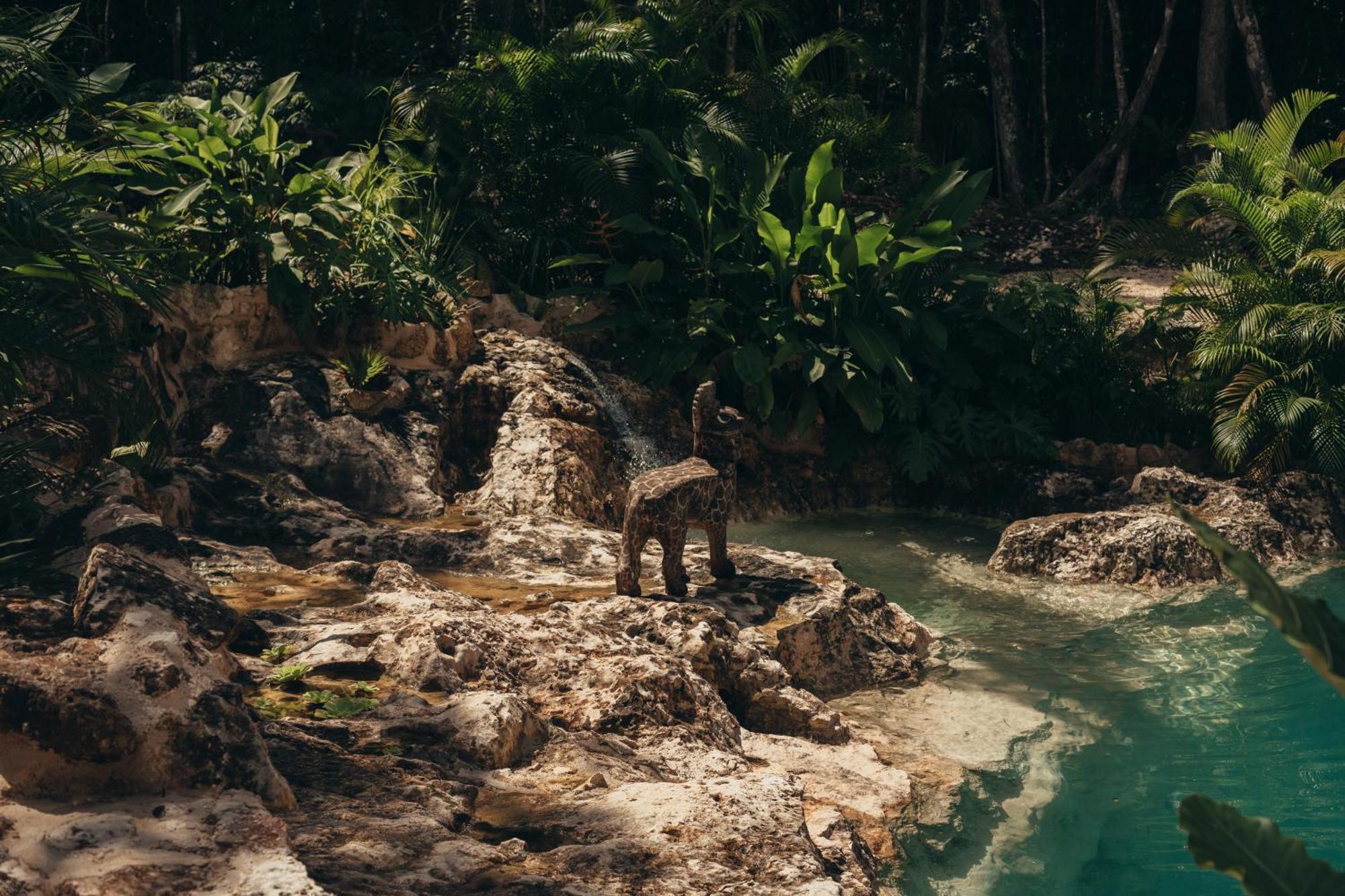 فندق Amaite Retreat Tulum Macario Gomez المظهر الخارجي الصورة